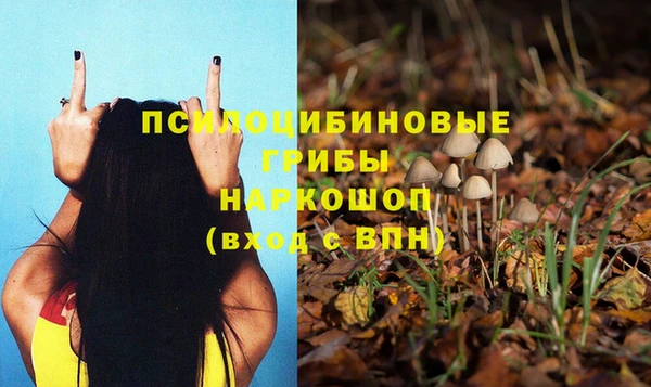 хмурый Кинешма