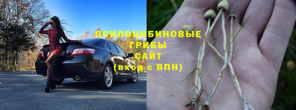 стаф Козловка