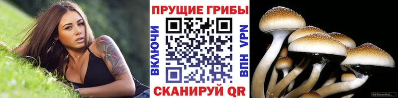 Галлюциногенные грибы мицелий  Купить  Печора 